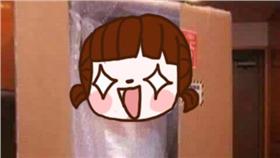 網購情趣娃娃，收到貨品長相超解嗨。（圖／翻攝自《爆料公社》）