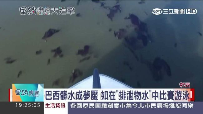 奧運里約水太髒　專家警告游泳請閉嘴