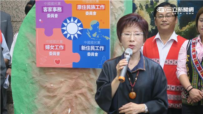 登島計畫遭拒絕　洪秀柱感到非常遺憾