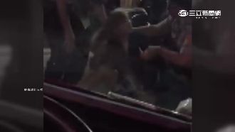 嫌小吃店動作慢　醉女鬧事譙警三字經