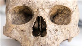 骷髏頭,人頭（圖／美聯社／達志影像）