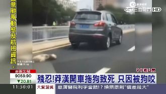 影／狗鍊車尾疾駛到牠死　只因被狗咬