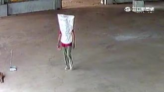 笨賊戴布袋行竊　竟撞臉海綿寶寶