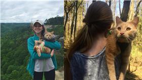 芒果喜歡和主人一起到外面冒險/翻攝catnotafruit ig