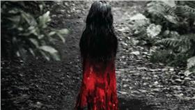 紅衣小女孩（圖／翻攝自紅衣小女孩 The Tag-Along臉書粉絲專頁）