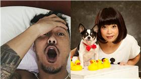 余文樂、阮小隱（圖／合成圖／翻攝自余文樂、阮小隱臉書）