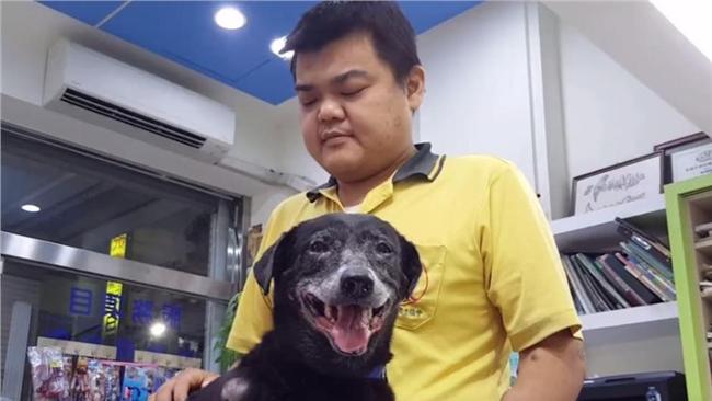 不捨忠犬腫瘤破裂　失明飼主急求援