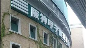 甲子園（圖／記者雷明正攝）