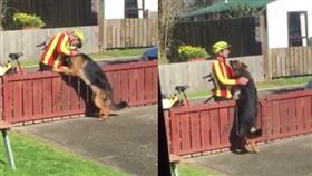 看門狗Kyza與郵差友好相處/翻攝Michael Collins臉書