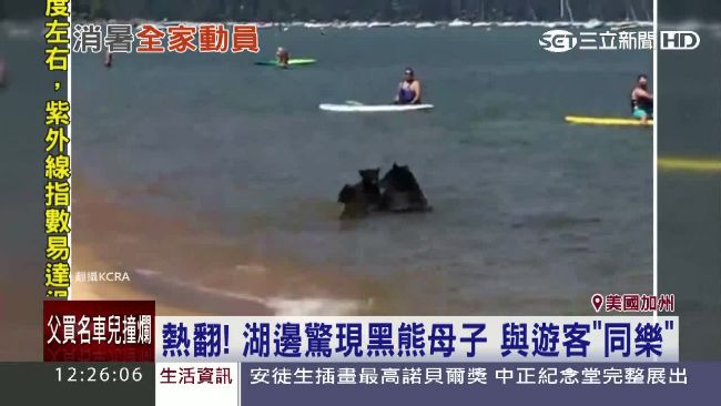 我們也要玩水！加州母子熊現身湖邊