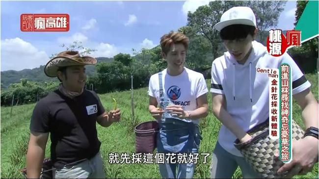 來自世外桃源有機傳奇　打造創客舞台