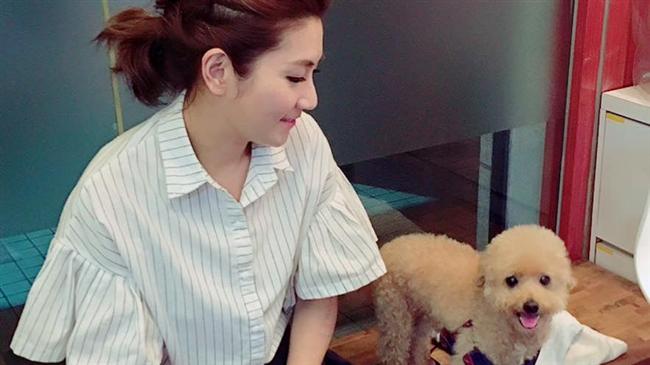 幫生病愛犬打針　任家萱催眠會美容