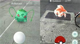 寶可夢、精靈寶可夢、pokemon go