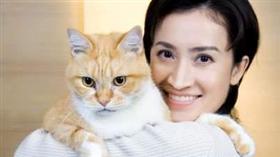 蕭美琴,蔡英文,愛貓,寵物,毛小孩,喵星人
(蕭美琴臉書)