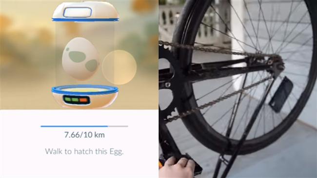 想快速孵化「寶貝蛋」　就用這些方法