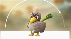 寶可夢,大蔥鴨_
http://pokemongoglobal.com/project/083-farfetchd/