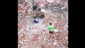 武漢虐狗（圖／翻攝自武漢晚報微博）