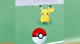 寶可夢,精靈寶可夢,皮卡丘,Pokemon Go,Pokémon GO,神奇寶貝