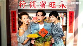 《白鷺鷥的願望》首播