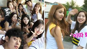 圖翻攝自韓網 twice 合成圖