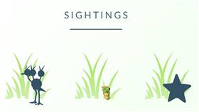 寶可夢改版 雷達更新 可改名