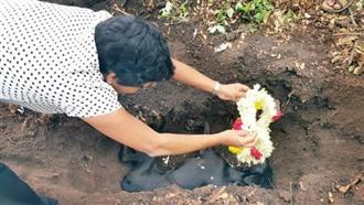 痛恨流浪狗　她狠心摔死8隻幼犬