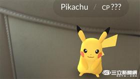 寶可夢 皮卡丘 盧冠妃攝