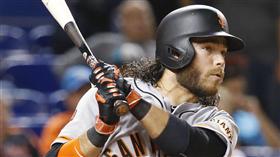 Brandon Crawford（圖／美聯社／達志影像）