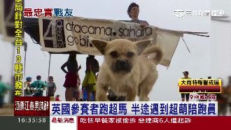 第一暖犬！流浪狗陪跑戈壁沙漠
