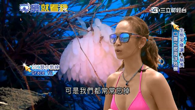 美女設計師苦練潛水多月　幫軟絲造家