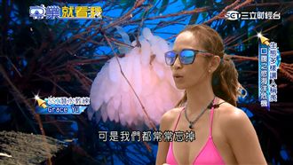 美女設計師苦練潛水多月　幫軟絲造家