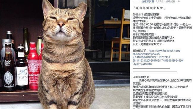 辯「貓咪攻擊我」台大生陳皓揚再殺貓