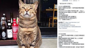 辯「貓咪攻擊我」台大生陳皓揚再殺貓