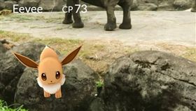 伊步,寶可夢 圖/翻攝自Taipei Zoo 臺北市立動物園