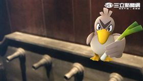 寶可夢大蔥鴨。（圖／雲朗觀光提供）