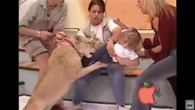 墨西哥節目（圖／翻攝自YouTube）