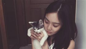 Kimberley,陳芳語,貓咪
翻攝自Kimberley臉書