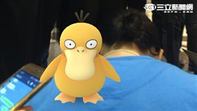 柯文哲 可達鴨 寶可夢