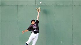 林子偉(MILB官網)