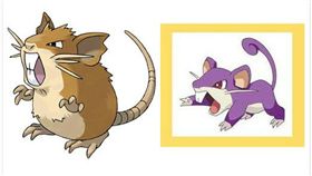 精靈寶可夢,討論,長相,精靈,神奇寶貝,拉達,PTT,神回覆(https://www.ptt.cc/bbs/Gossiping/M.1470646326.A.A74.html)