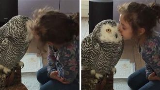 超療癒！小女孩和貓頭鷹玩親親超有愛