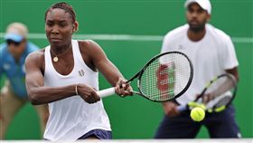 美國女將大威廉絲（Venus Williams）／AP