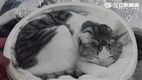 貓部FELISSIMO　台灣東販　漫畫博覽會　葉立斌