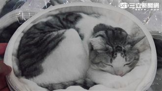 貓奴注意　日本品牌「貓部」進漫博