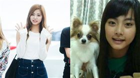 周子瑜（圖／組圖／翻攝自tzuyu.tw instagram）