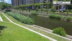 民眾發現一無名男屍在環保公園排水溝載浮載沉（楊忠翰攝）