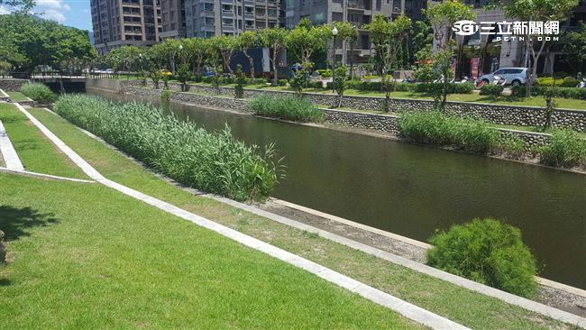 新北市環保公園　驚見男子陳屍排水溝