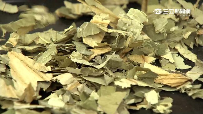 網瘋傳「荷葉灰水」減肥　食藥署回應