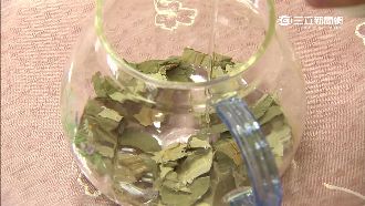 喝「荷葉灰水」可減肥？醫：無稽之談