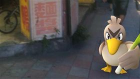 神奇寶貝,精靈寶可夢,大蔥鴨,亞洲限定
圖／翻攝自PTT
https://www.ptt.cc/bbs/joke/M.1471177610.A.E17.html